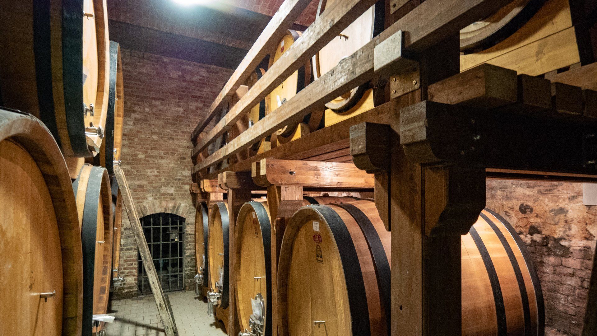 wine barrels in a winery