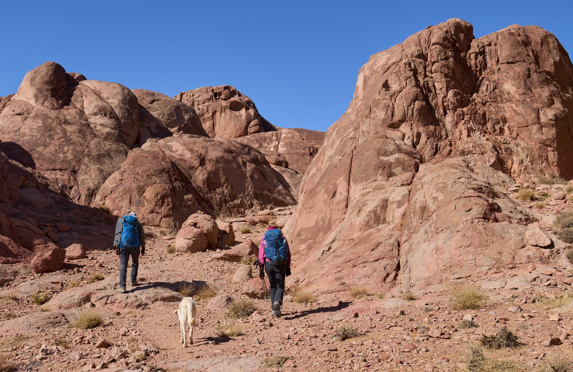 Two hikers and a dog walk through a rocky desert canyon under a clear blue sky