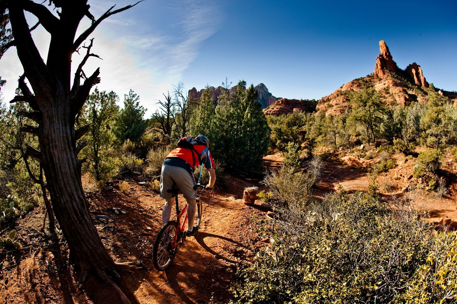 Mountain biker riding a dirt trail through a sunlit desert canyon with rocky spires and trees