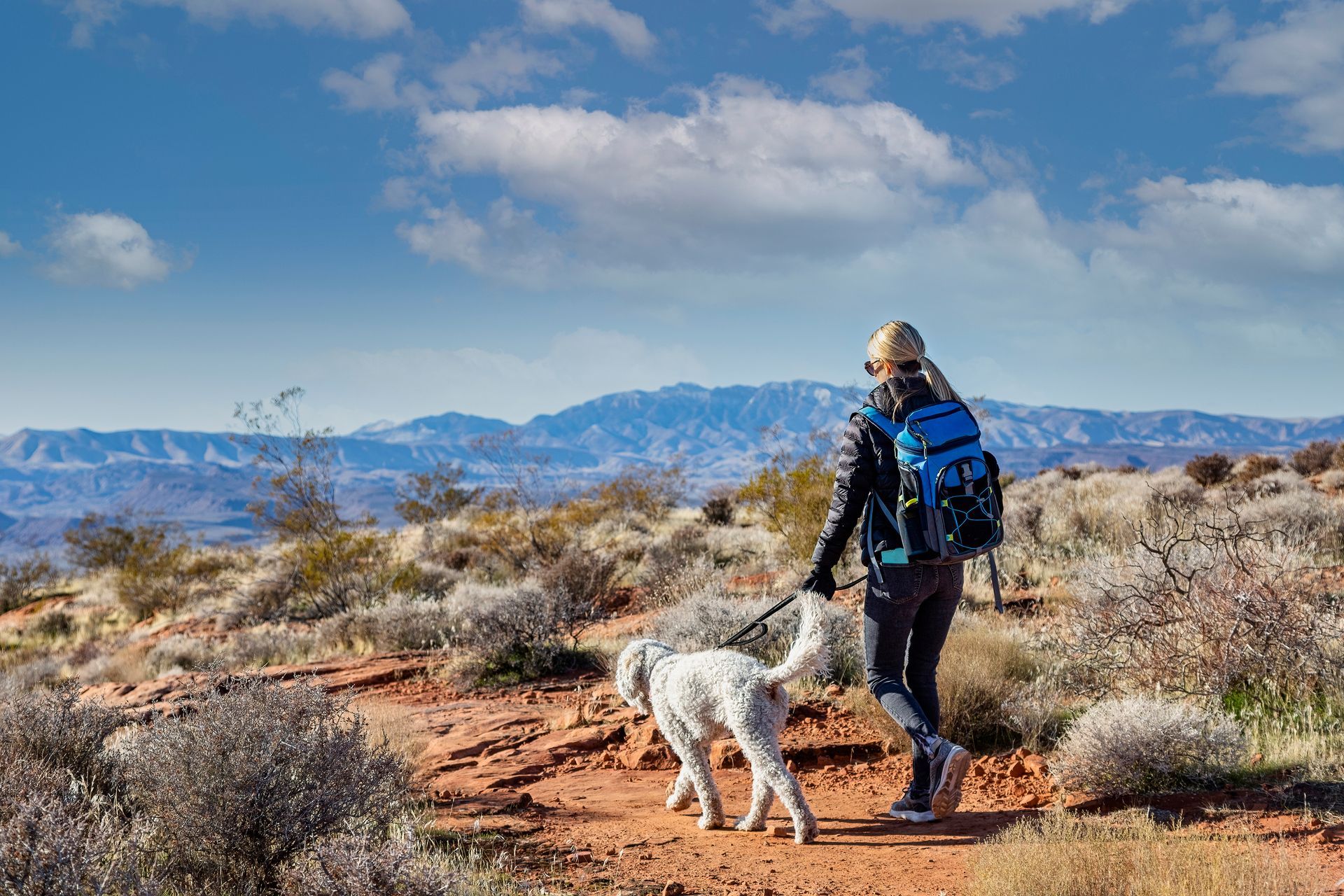 Hiker with white dog on a desert trail, overlooking mountains under a blue sky