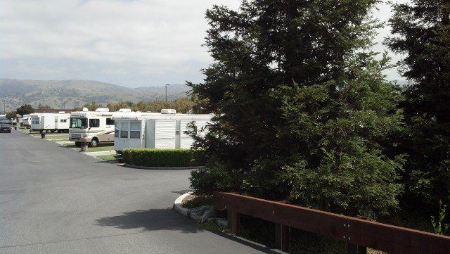 Van In The Park — Morgan Hill, CA — Maple Leaf RV Park