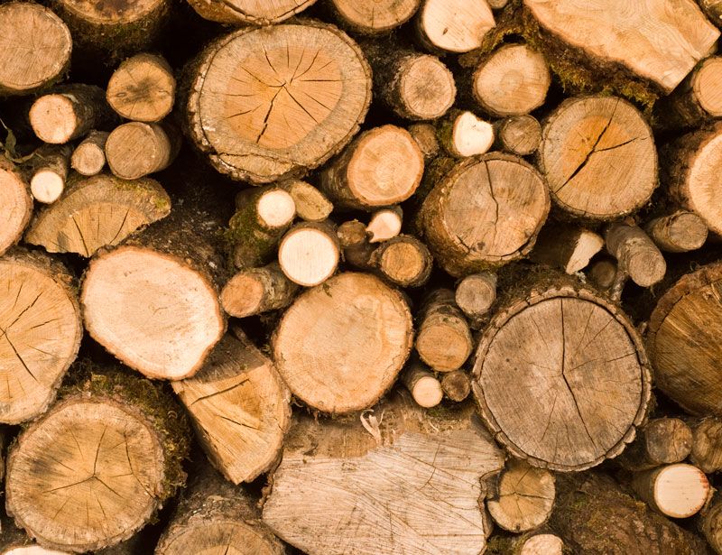 madera para carpinteros