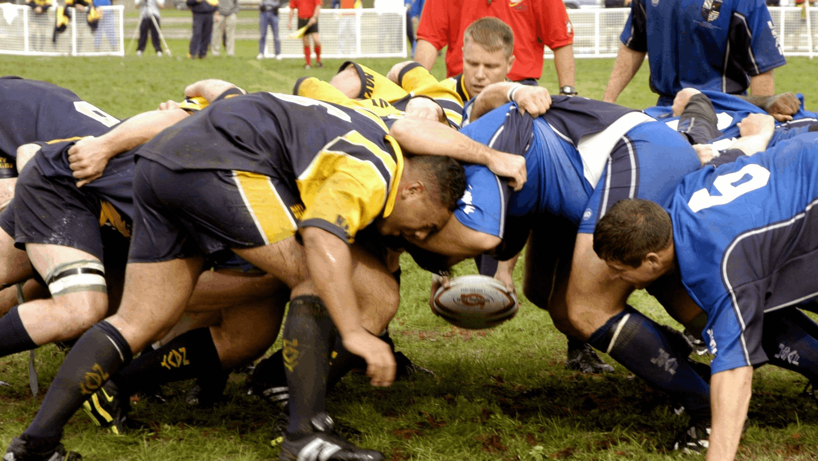 Understanding Concussions: Complete Guide to Recognition/Recovery