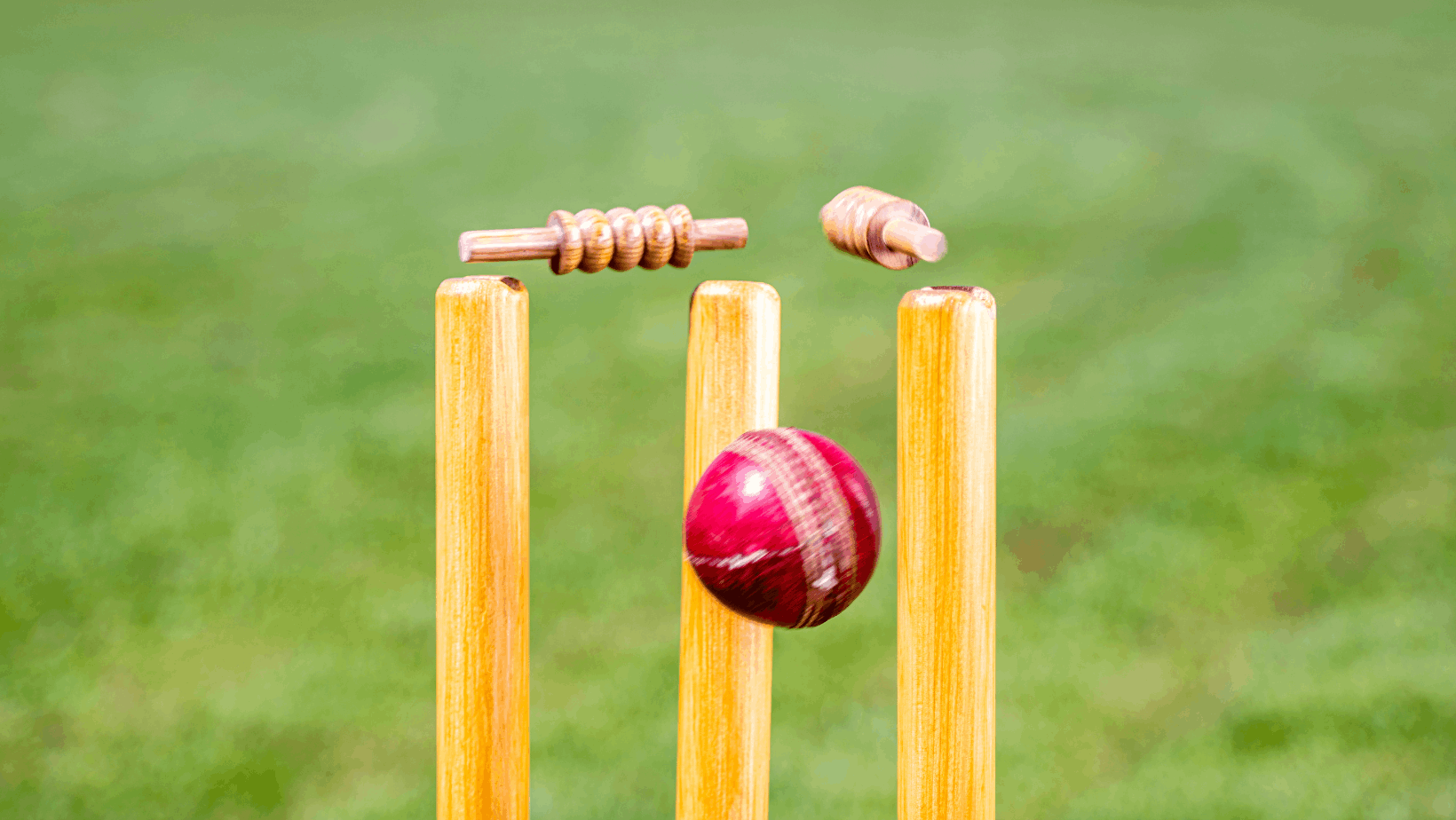Cricket and Low Back Pain Blog: Keeping You in the Game