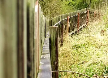 Wooden fence with weathered posts runs along tall, dry grass, leading into the distance.