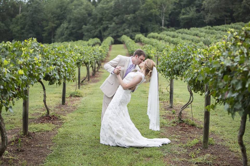 A bride and groom are kissing in a vineyard.