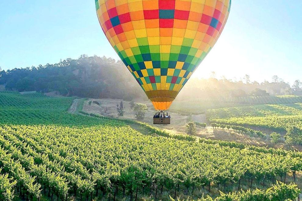 A hot air balloon is flying over a vineyard.