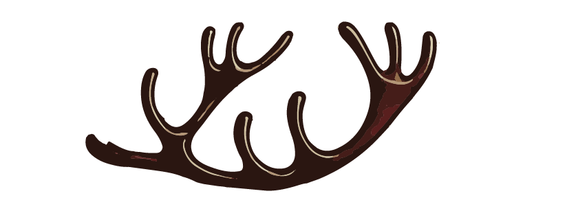 Arctic Artefact, Reindeer antler cartoon sketch