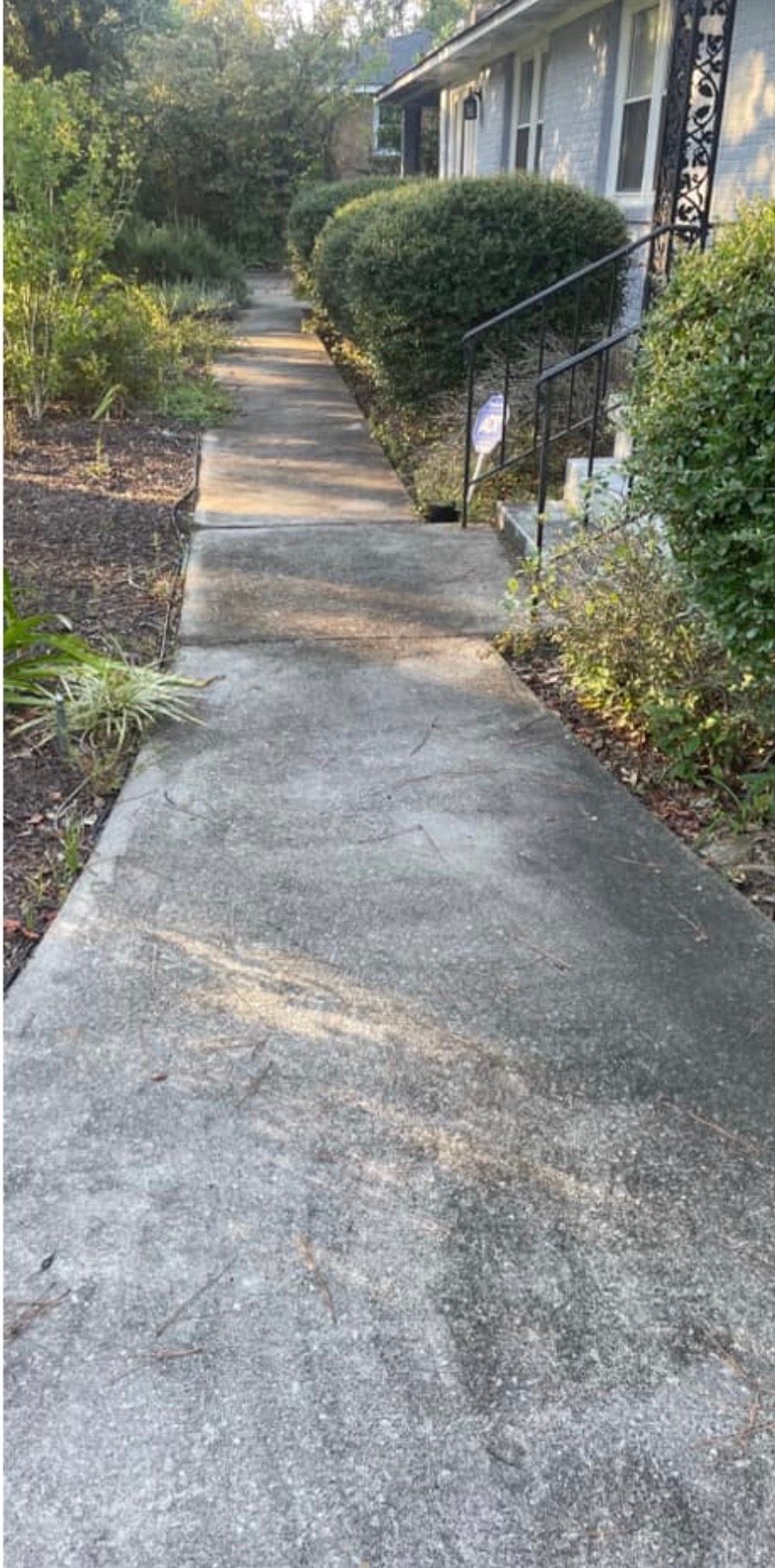 Concrete walkway leading to a building, flanked by shrubs and plantings.