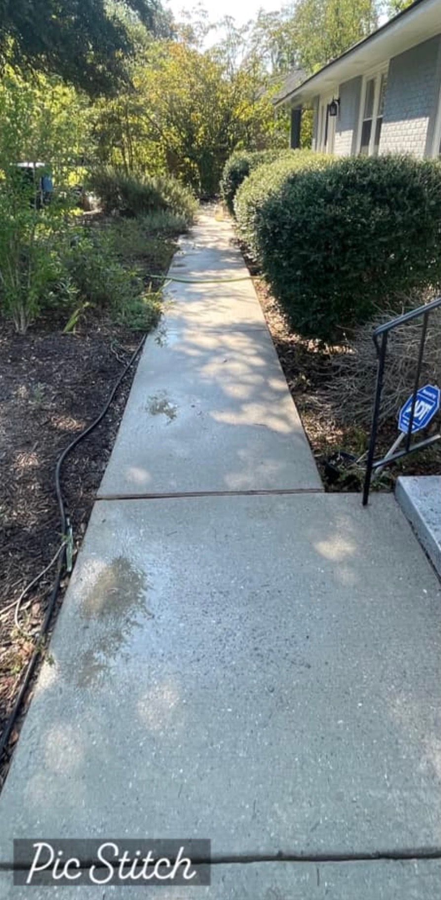 Concrete walkway leading between landscaping and house.