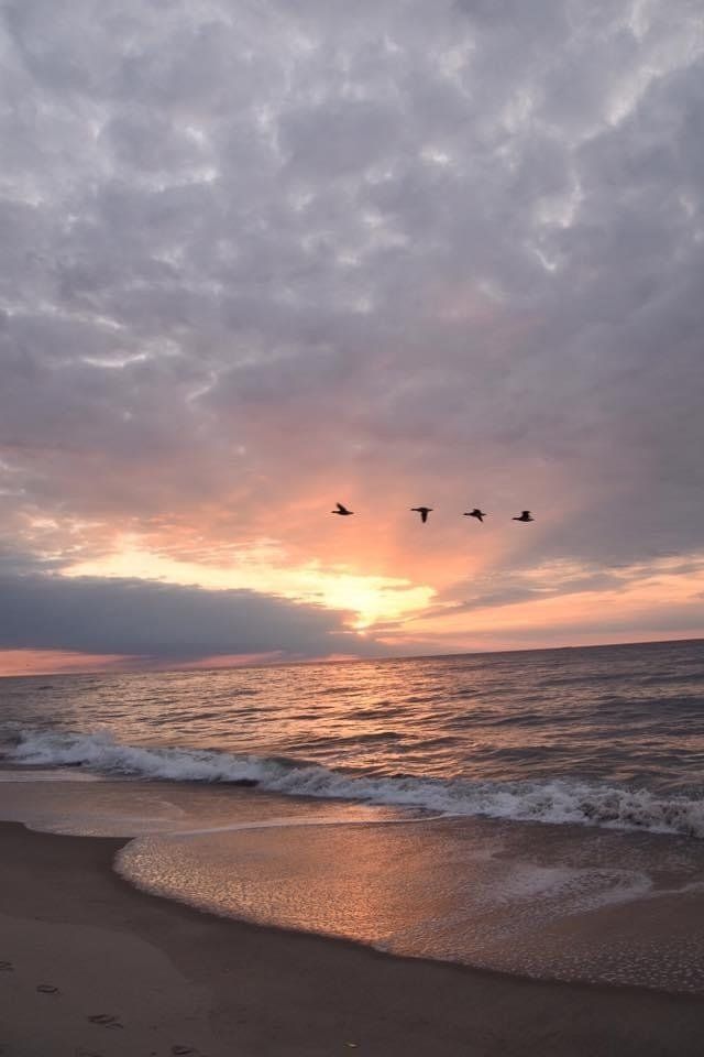 Birds are flying over the ocean at sunset