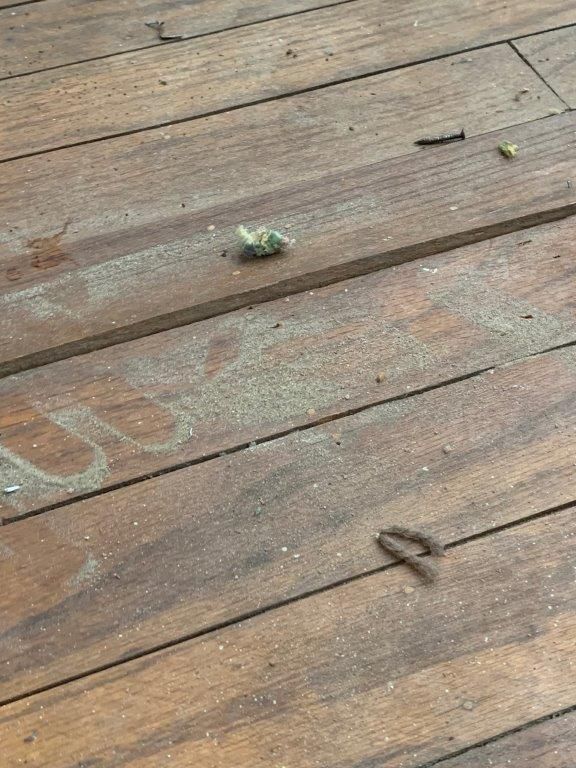 A close up of a wooden floor with a frog on it.