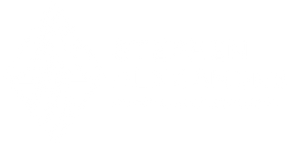 Stephen Alexander Homes Logo