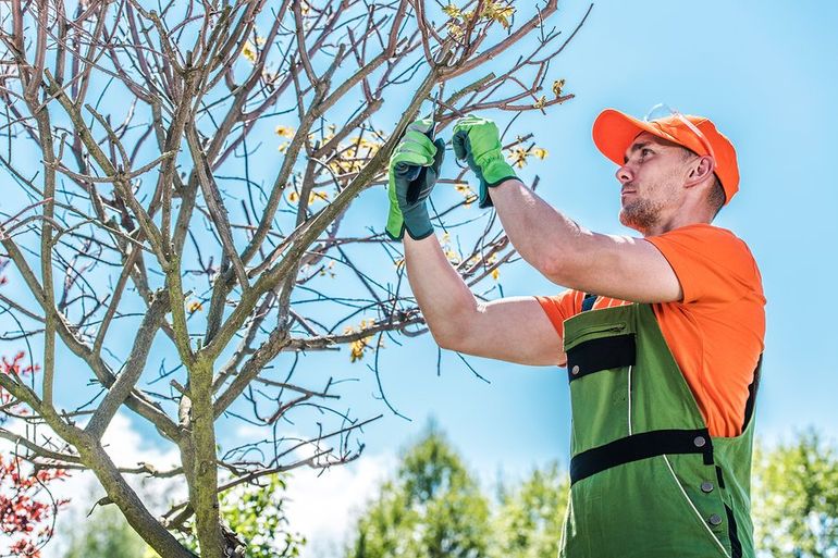 man in orange cutting twigs