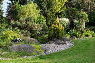outdoor landscape with plants