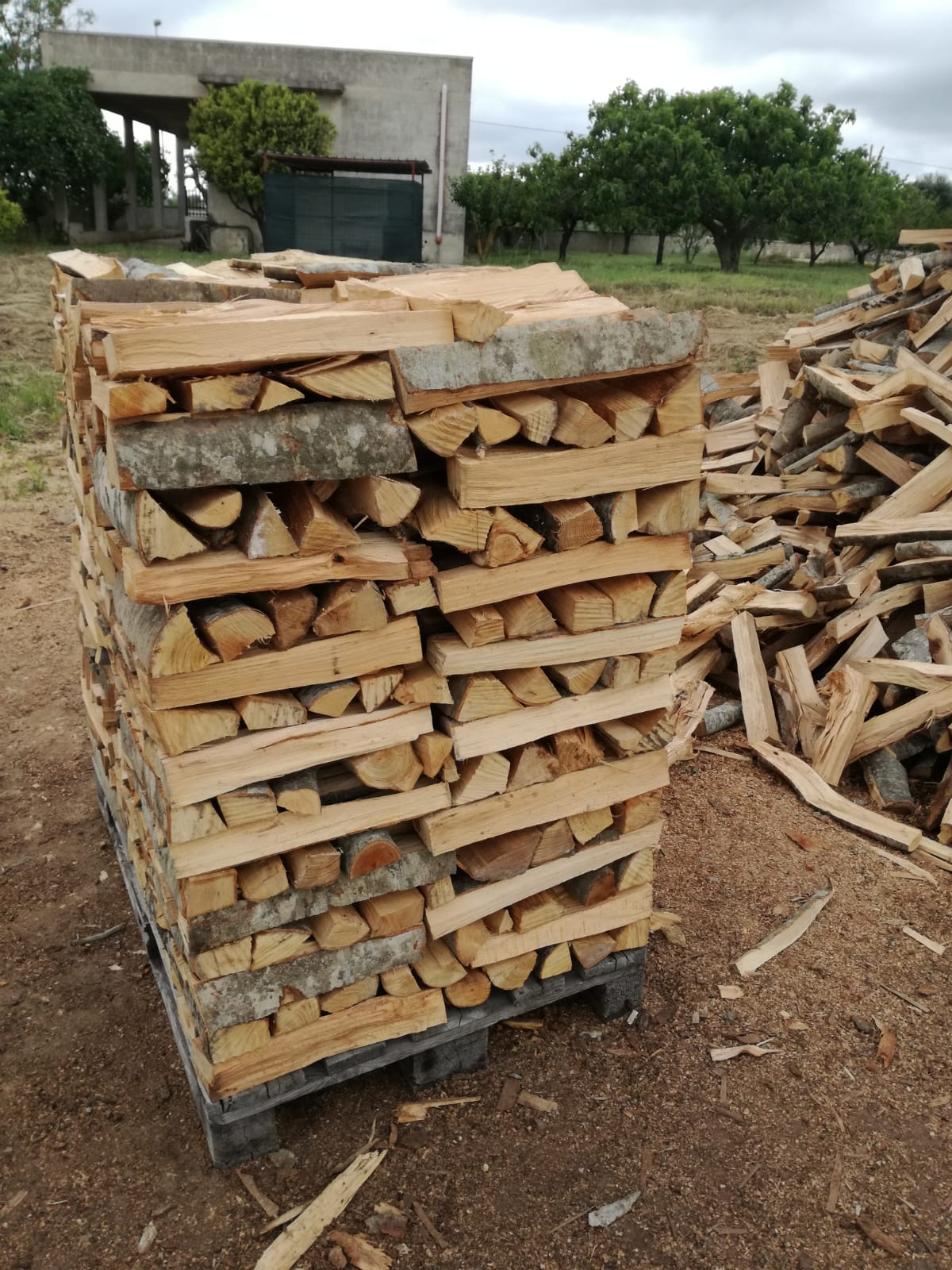 Pallet di legna da ardere accatastata su un terreno sterrato, con una catasta di legna sullo sfondo.