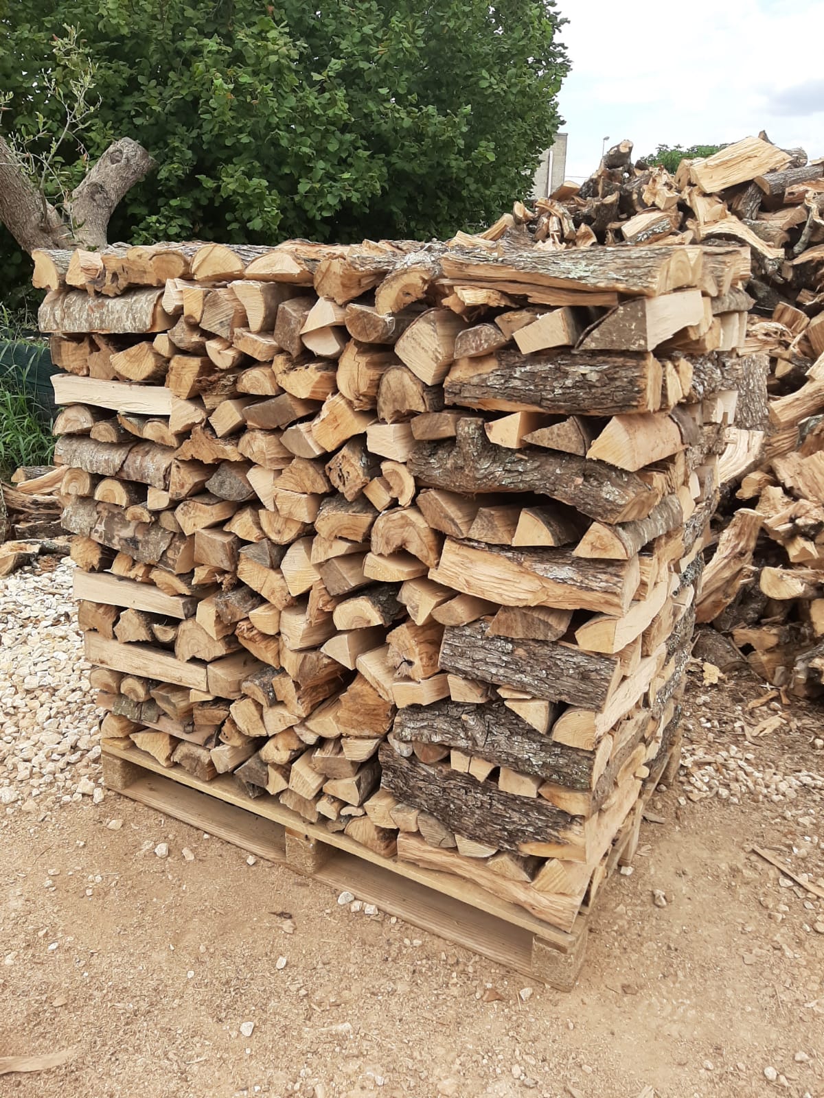Una catasta quadrata di legna da ardere su un pallet di legno all'aperto, circondata da altra legna e vegetazione.