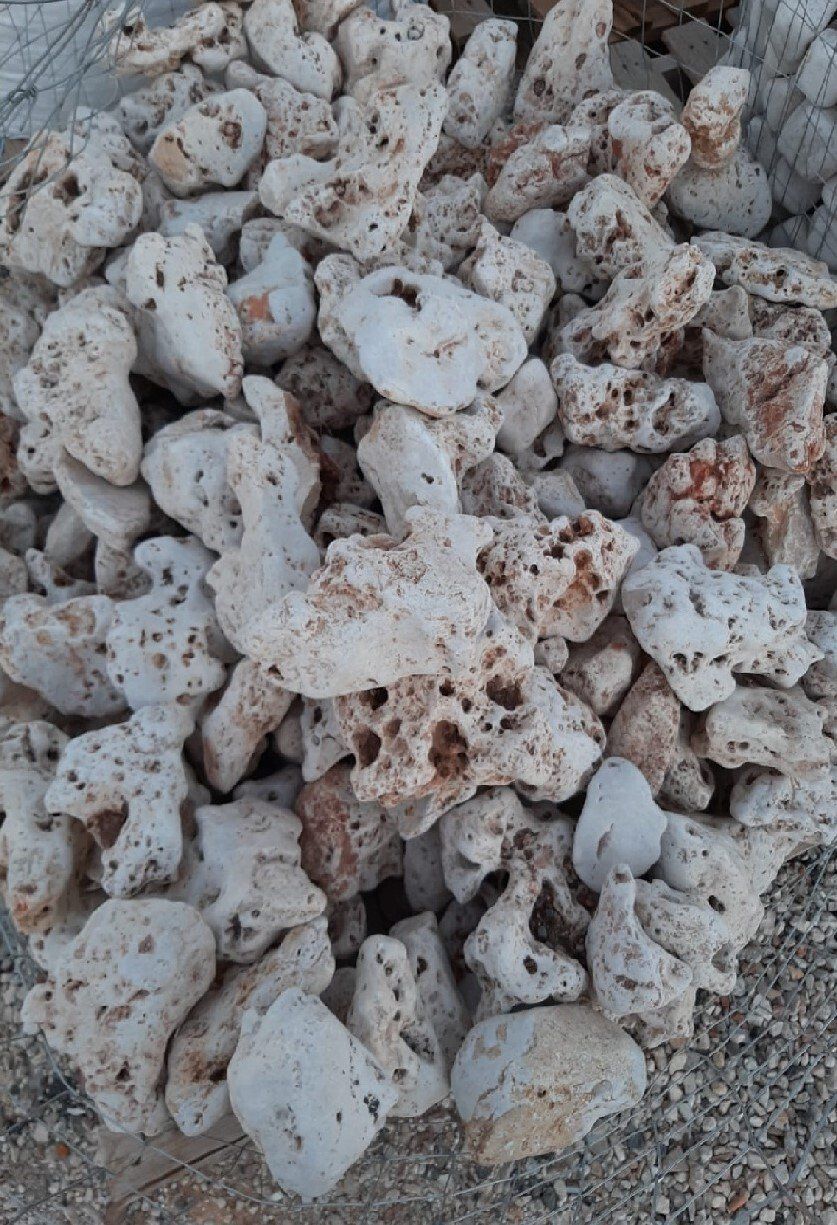 Mucchio di rocce coralline bianche e porose.