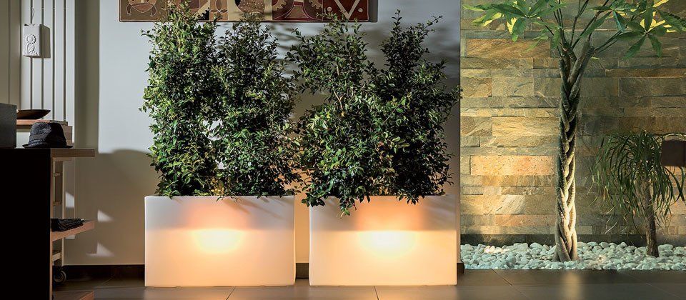 Vasi illuminati per piante