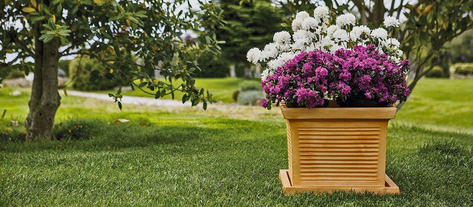 Vasi classici su prato