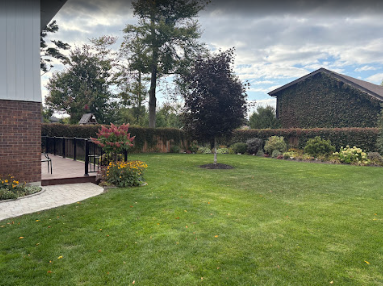 Lush green backyard with a deck, trees, and a house covered in ivy under a cloudy sky.