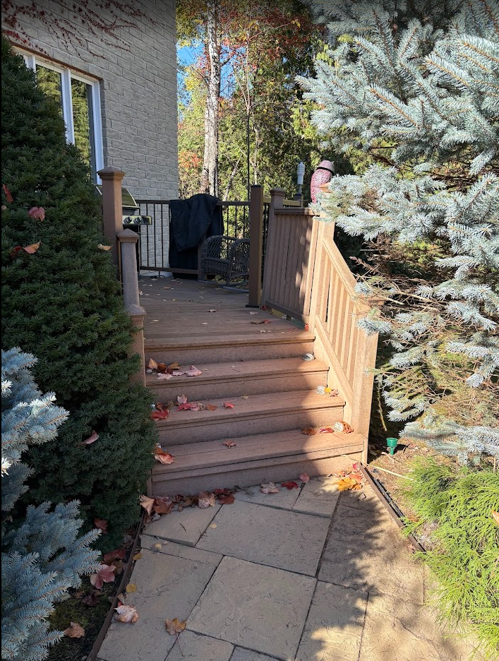 Wooden deck with stairs, surrounded by trees and bushes. Paved walkway leads to the stairs.