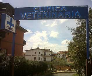 clinica veterinaria
