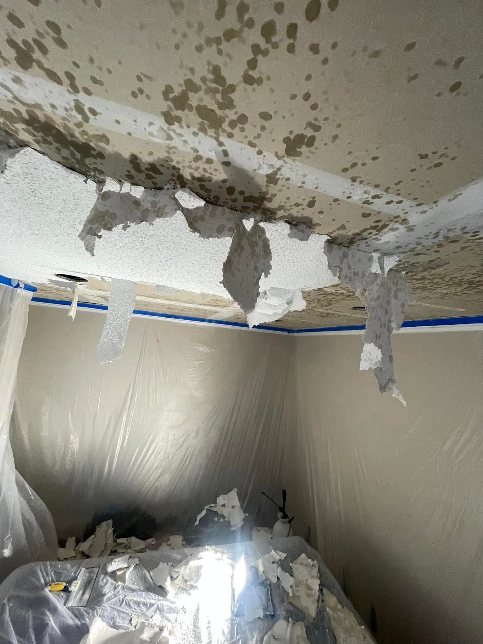 TE Drywall, San Jose CA, Willow Glen San Jose CA, Alderbrook San Jose CA, Cambrian Park CA, Mountain View CA, Sunnyvale CA, Santa Clara CA, Saratoga CA, Los Gatos CA, Stanford CA, Palo Alto CA, East Palo Alto CA, Redwood City CA, San Mateo CA, San Bruno CA, Milpitas CA, Fremont CA, Newark CA, Union City CA, Hayward CA, Drywall Company Near Me, Residential Drywall Company, Drywall Contractor Near Me, San Jose Drywall Company, Cambrian Park Drywall Company, Mountain View Drywall Company, Sunnyvale Drywall Company, Santa Clara Drywall Company, Saratoga Drywall Company, Los Gatos Drywall Company, Stanford Drywall Company, Palo Alto Drywall Company, East Palo Alto Drywall Company, Redwood City Drywall Company, San Mateo Drywall Company, San Bruno Drywall Company, Milpitas Drywall Company, Fremont Drywall Company, Newark Drywall Company, Union City Drywall Company, Hayward Drywall Company, Drywall Repair, Drywall Installation, Drywall Patching, Drywall Hanging, Drywall Finishing, Drywall Texturing, Taping and Finish, Popcorn Ceiling Removals, Popcorn Acoustic Ceiling Removal, Wallpaper Removal, Water Damage Drywall Repair
