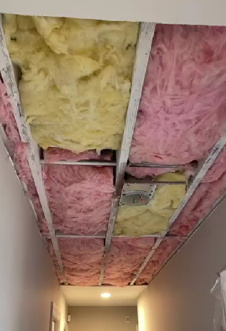 TE Drywall, San Jose CA, Willow Glen San Jose CA, Alderbrook San Jose CA, Cambrian Park CA, Mountain View CA, Sunnyvale CA, Santa Clara CA, Saratoga CA, Los Gatos CA, Stanford CA, Palo Alto CA, East Palo Alto CA, Redwood City CA, San Mateo CA, San Bruno CA, Milpitas CA, Fremont CA, Newark CA, Union City CA, Hayward CA, Drywall Company Near Me, Residential Drywall Company, Drywall Contractor Near Me, San Jose Drywall Company, Cambrian Park Drywall Company, Mountain View Drywall Company, Sunnyvale Drywall Company, Santa Clara Drywall Company, Saratoga Drywall Company, Los Gatos Drywall Company, Stanford Drywall Company, Palo Alto Drywall Company, East Palo Alto Drywall Company, Redwood City Drywall Company, San Mateo Drywall Company, San Bruno Drywall Company, Milpitas Drywall Company, Fremont Drywall Company, Newark Drywall Company, Union City Drywall Company, Hayward Drywall Company, Drywall Repair, Drywall Installation, Drywall Patching, Drywall Hanging, Drywall Finishing, Drywall Texturing, Taping and Finish, Popcorn Ceiling Removals, Popcorn Acoustic Ceiling Removal, Wallpaper Removal, Water Damage Drywall Repair