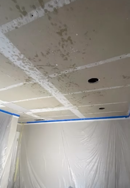 TE Drywall, San Jose CA, Willow Glen San Jose CA, Alderbrook San Jose CA, Cambrian Park CA, Mountain View CA, Sunnyvale CA, Santa Clara CA, Saratoga CA, Los Gatos CA, Stanford CA, Palo Alto CA, East Palo Alto CA, Redwood City CA, San Mateo CA, San Bruno CA, Milpitas CA, Fremont CA, Newark CA, Union City CA, Hayward CA, Drywall Company Near Me, Residential Drywall Company, Drywall Contractor Near Me, San Jose Drywall Company, Cambrian Park Drywall Company, Mountain View Drywall Company, Sunnyvale Drywall Company, Santa Clara Drywall Company, Saratoga Drywall Company, Los Gatos Drywall Company, Stanford Drywall Company, Palo Alto Drywall Company, East Palo Alto Drywall Company, Redwood City Drywall Company, San Mateo Drywall Company, San Bruno Drywall Company, Milpitas Drywall Company, Fremont Drywall Company, Newark Drywall Company, Union City Drywall Company, Hayward Drywall Company, Drywall Repair, Drywall Installation, Drywall Patching, Drywall Hanging, Drywall Finishing, Drywall Texturing, Taping and Finish, Popcorn Ceiling Removals, Popcorn Acoustic Ceiling Removal, Wallpaper Removal, Water Damage Drywall Repair