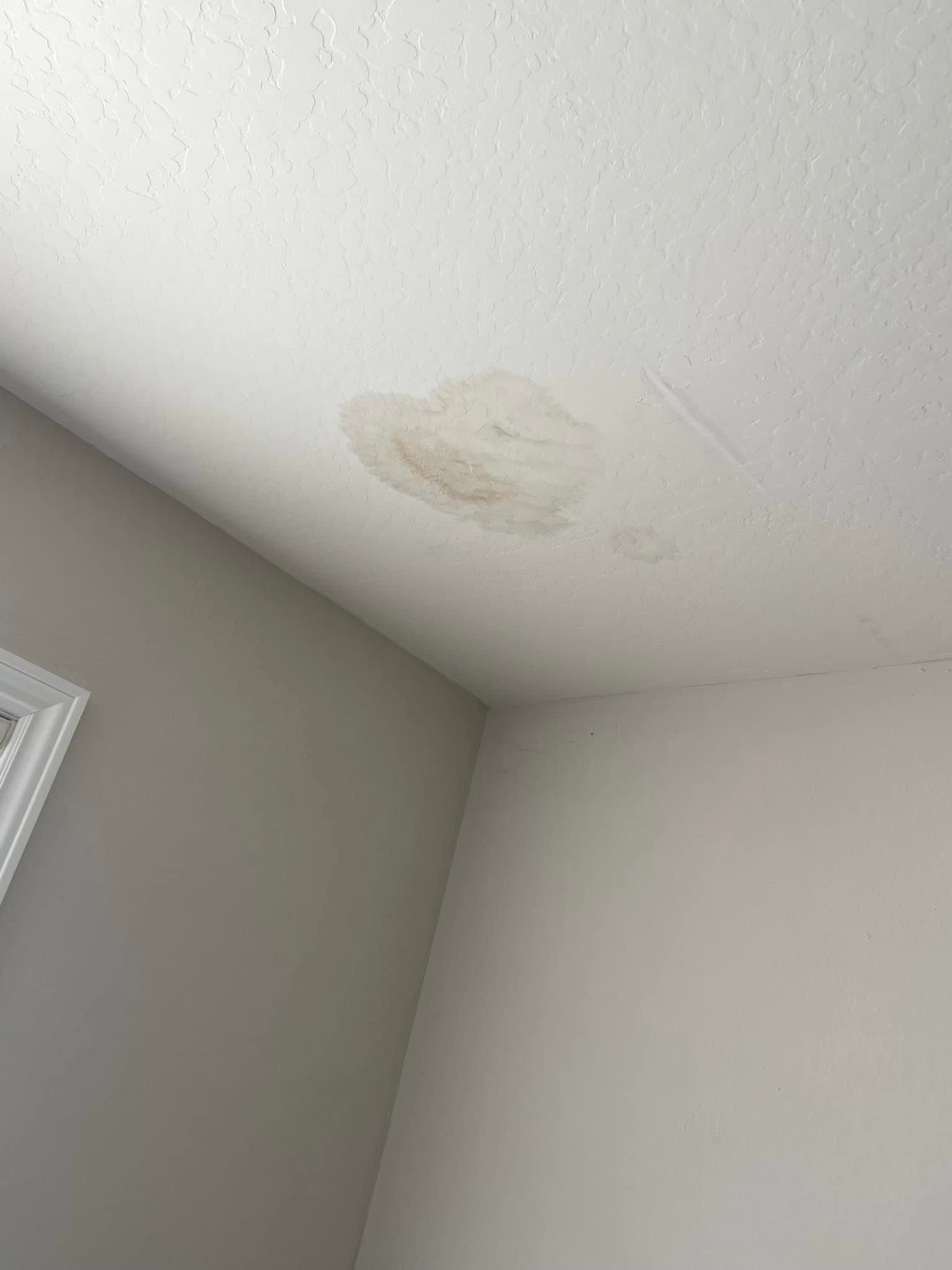 TE Drywall, San Jose CA, Willow Glen San Jose CA, Alderbrook San Jose CA, Cambrian Park CA, Mountain View CA, Sunnyvale CA, Santa Clara CA, Saratoga CA, Los Gatos CA, Stanford CA, Palo Alto CA, East Palo Alto CA, Redwood City CA, San Mateo CA, San Bruno CA, Milpitas CA, Fremont CA, Newark CA, Union City CA, Hayward CA, Drywall Company Near Me, Residential Drywall Company, Drywall Contractor Near Me, San Jose Drywall Company, Cambrian Park Drywall Company, Mountain View Drywall Company, Sunnyvale Drywall Company, Santa Clara Drywall Company, Saratoga Drywall Company, Los Gatos Drywall Company, Stanford Drywall Company, Palo Alto Drywall Company, East Palo Alto Drywall Company, Redwood City Drywall Company, San Mateo Drywall Company, San Bruno Drywall Company, Milpitas Drywall Company, Fremont Drywall Company, Newark Drywall Company, Union City Drywall Company, Hayward Drywall Company, Drywall Repair, Drywall Installation, Drywall Patching, Drywall Hanging, Drywall Finishing, Drywall Texturing, Taping and Finish, Popcorn Ceiling Removals, Popcorn Acoustic Ceiling Removal, Wallpaper Removal, Water Damage Drywall Repair