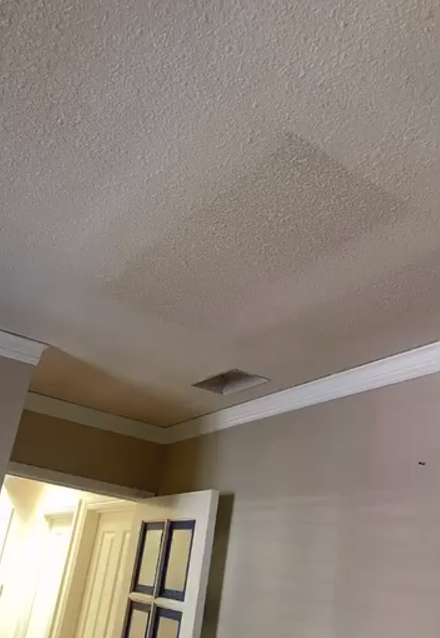 TE Drywall, San Jose CA, Willow Glen San Jose CA, Alderbrook San Jose CA, Cambrian Park CA, Mountain View CA, Sunnyvale CA, Santa Clara CA, Saratoga CA, Los Gatos CA, Stanford CA, Palo Alto CA, East Palo Alto CA, Redwood City CA, San Mateo CA, San Bruno CA, Milpitas CA, Fremont CA, Newark CA, Union City CA, Hayward CA, Drywall Company Near Me, Residential Drywall Company, Drywall Contractor Near Me, San Jose Drywall Company, Cambrian Park Drywall Company, Mountain View Drywall Company, Sunnyvale Drywall Company, Santa Clara Drywall Company, Saratoga Drywall Company, Los Gatos Drywall Company, Stanford Drywall Company, Palo Alto Drywall Company, East Palo Alto Drywall Company, Redwood City Drywall Company, San Mateo Drywall Company, San Bruno Drywall Company, Milpitas Drywall Company, Fremont Drywall Company, Newark Drywall Company, Union City Drywall Company, Hayward Drywall Company, Drywall Repair, Drywall Installation, Drywall Patching, Drywall Hanging, Drywall Finishing, Drywall Texturing, Taping and Finish, Popcorn Ceiling Removals, Popcorn Acoustic Ceiling Removal, Wallpaper Removal, Water Damage Drywall Repair