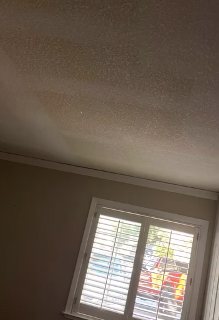 TE Drywall, San Jose CA, Willow Glen San Jose CA, Alderbrook San Jose CA, Cambrian Park CA, Mountain View CA, Sunnyvale CA, Santa Clara CA, Saratoga CA, Los Gatos CA, Stanford CA, Palo Alto CA, East Palo Alto CA, Redwood City CA, San Mateo CA, San Bruno CA, Milpitas CA, Fremont CA, Newark CA, Union City CA, Hayward CA, Drywall Company Near Me, Residential Drywall Company, Drywall Contractor Near Me, San Jose Drywall Company, Cambrian Park Drywall Company, Mountain View Drywall Company, Sunnyvale Drywall Company, Santa Clara Drywall Company, Saratoga Drywall Company, Los Gatos Drywall Company, Stanford Drywall Company, Palo Alto Drywall Company, East Palo Alto Drywall Company, Redwood City Drywall Company, San Mateo Drywall Company, San Bruno Drywall Company, Milpitas Drywall Company, Fremont Drywall Company, Newark Drywall Company, Union City Drywall Company, Hayward Drywall Company, Drywall Repair, Drywall Installation, Drywall Patching, Drywall Hanging, Drywall Finishing, Drywall Texturing, Taping and Finish, Popcorn Ceiling Removals, Popcorn Acoustic Ceiling Removal, Wallpaper Removal, Water Damage Drywall Repair