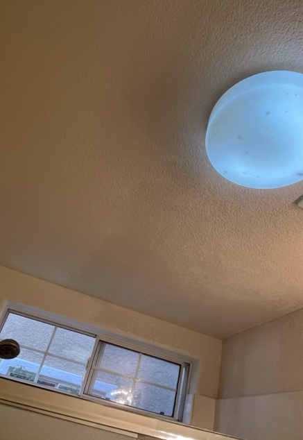 TE Drywall, San Jose CA, Willow Glen San Jose CA, Alderbrook San Jose CA, Cambrian Park CA, Mountain View CA, Sunnyvale CA, Santa Clara CA, Saratoga CA, Los Gatos CA, Stanford CA, Palo Alto CA, East Palo Alto CA, Redwood City CA, San Mateo CA, San Bruno CA, Milpitas CA, Fremont CA, Newark CA, Union City CA, Hayward CA, Drywall Company Near Me, Residential Drywall Company, Drywall Contractor Near Me, San Jose Drywall Company, Cambrian Park Drywall Company, Mountain View Drywall Company, Sunnyvale Drywall Company, Santa Clara Drywall Company, Saratoga Drywall Company, Los Gatos Drywall Company, Stanford Drywall Company, Palo Alto Drywall Company, East Palo Alto Drywall Company, Redwood City Drywall Company, San Mateo Drywall Company, San Bruno Drywall Company, Milpitas Drywall Company, Fremont Drywall Company, Newark Drywall Company, Union City Drywall Company, Hayward Drywall Company, Drywall Repair, Drywall Installation, Drywall Patching, Drywall Hanging, Drywall Finishing, Drywall Texturing, Taping and Finish, Popcorn Ceiling Removals, Popcorn Acoustic Ceiling Removal, Wallpaper Removal, Water Damage Drywall Repair