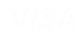 Logo Visa