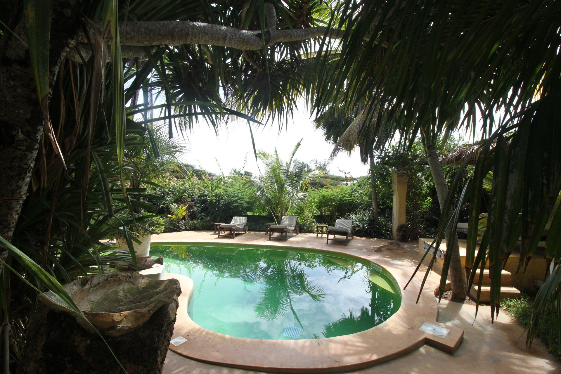 Banana House and Wellness Centre