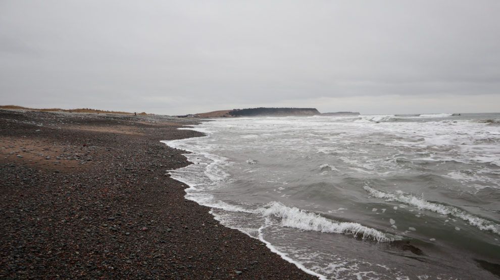 Lawrencetown beach
