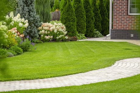 Freshly Cut Grass in the Backyard — Hartford, CT — Frank Pappa & Sons, Inc