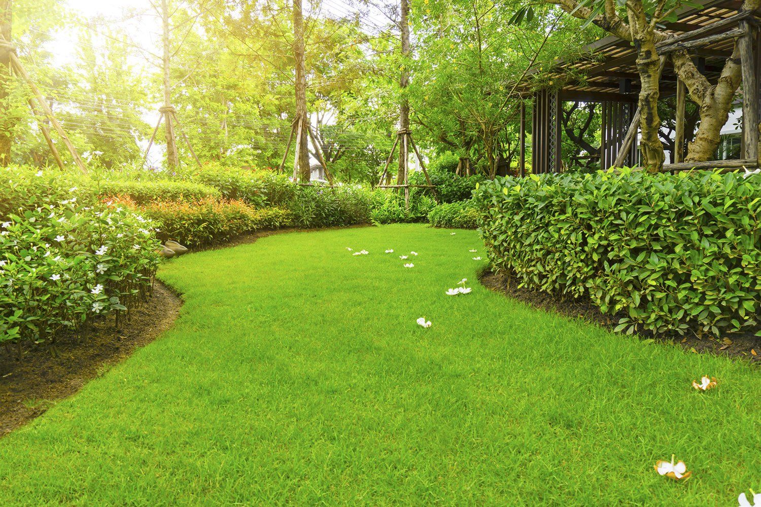 Landscape of Smooth Green Grass Lawn — Hartford, CT — Frank Pappa & Sons, Inc