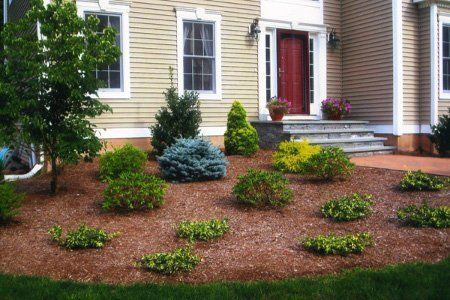 Garden Stone Path with Grass Growing — Hartford, CT — Frank Pappa & Sons, Inc