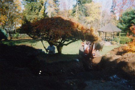 Professional Landscaper — Hartford, CT — Frank Pappa & Sons, Inc