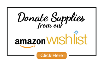 Donate supplies from Amazon Wishlist. Click here button.