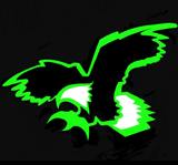 Green outline of an eagle in flight against a black background.