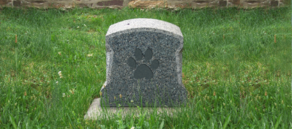 A gray headstone with a paw print in a grassy area.