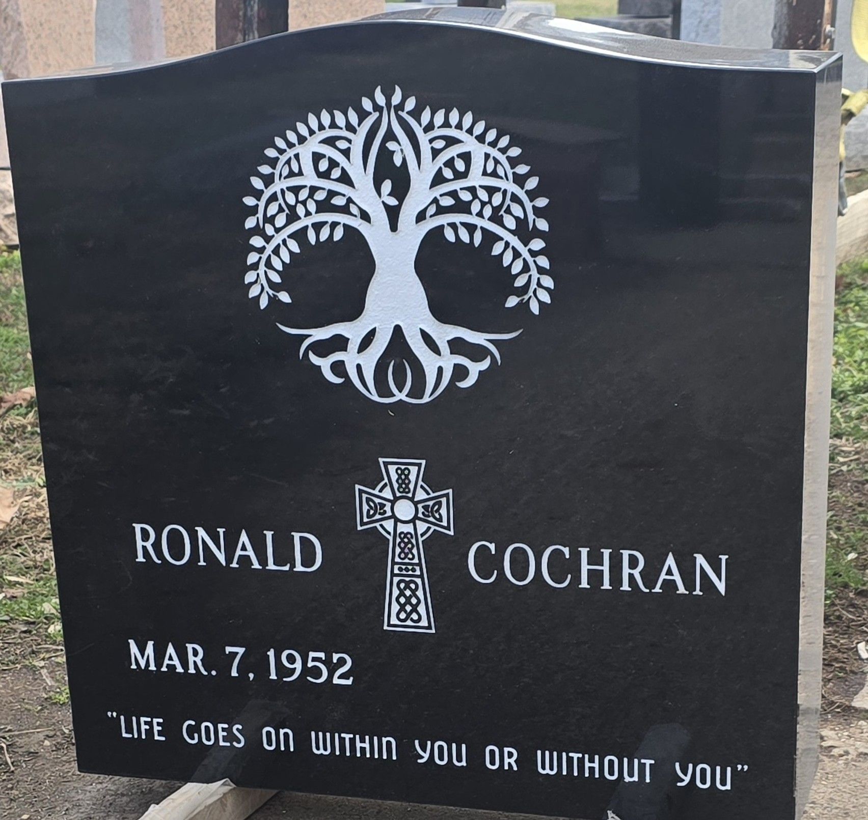 Grave of the McMicken family with red roses, black headstone, and landscape carving.