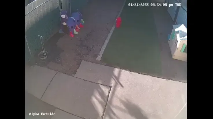 Beck 'n Call webcams allow owners to view their pets in real time