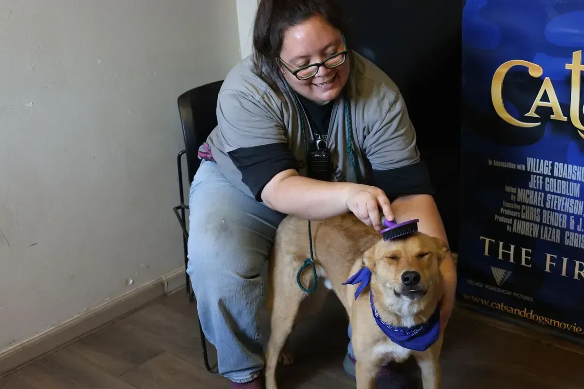 Person smiling while holding a happy tan dog wearing a purple bandana on a leash indoors