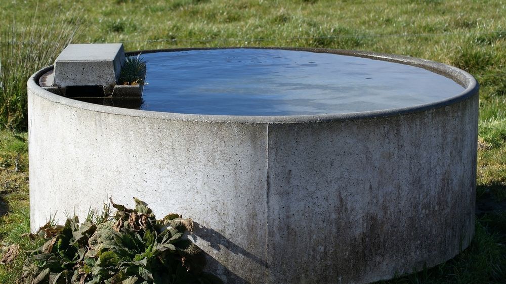 Concrete Livestock Watering Trough Filled — Water TopUps Gympie in Curra, QLD