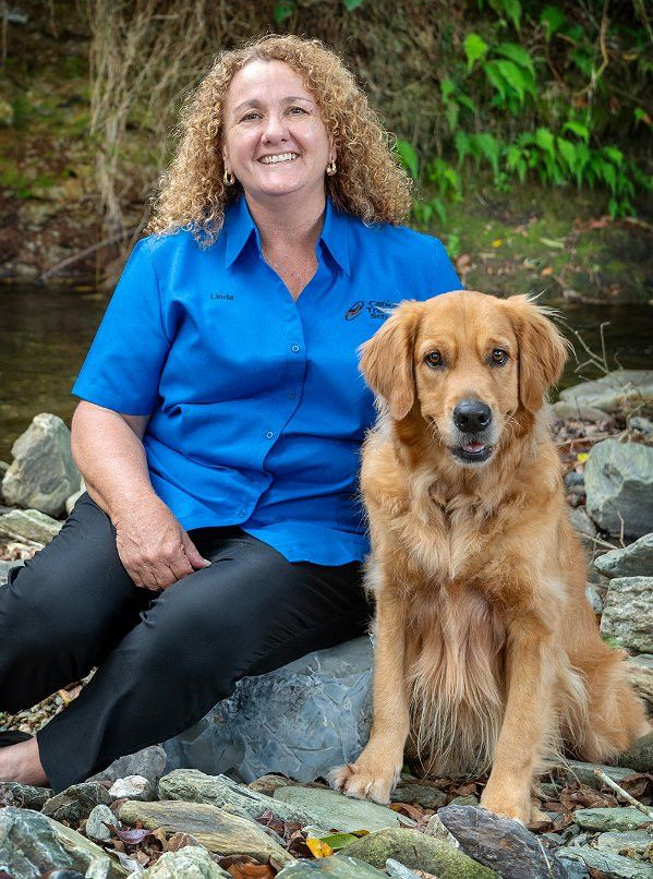 Woman in blue shirt sits with a golden retriever dog by a rocky stream.— Canine Training School in Trinity Park, QLD