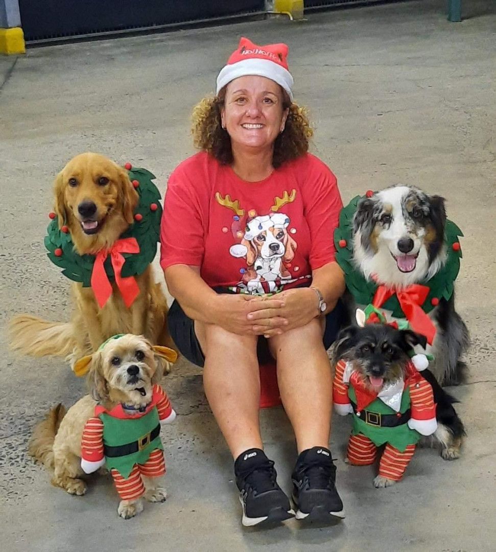 Woman seated with four dogs, all wearing Christmas attire.— Canine Training School in Port Douglas, QLD